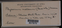 Image Associated With the Occurence